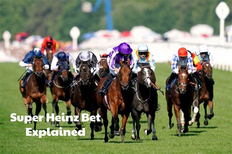 super heinz bets|7 horse bet.